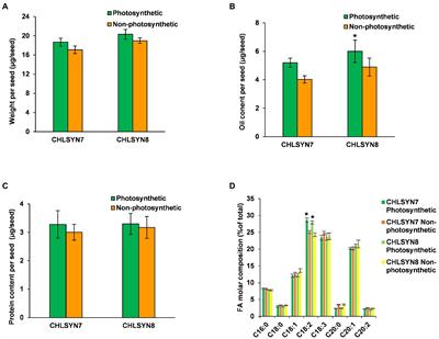 Genetic and Biochemical Investigation of Seed Fatty Acid Accumulation in Arabidopsis